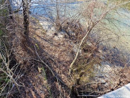 Odstranitev podrtega in poškodovanega drevja iz Nevljice in sotočja Kamniške Bistrice (9)